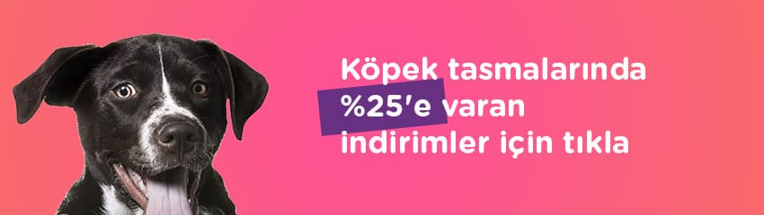 çocuklarla en iyi anlaşan köpekler
